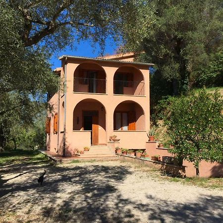 Argentella House Villa Palombara Sabina Eksteriør bilde