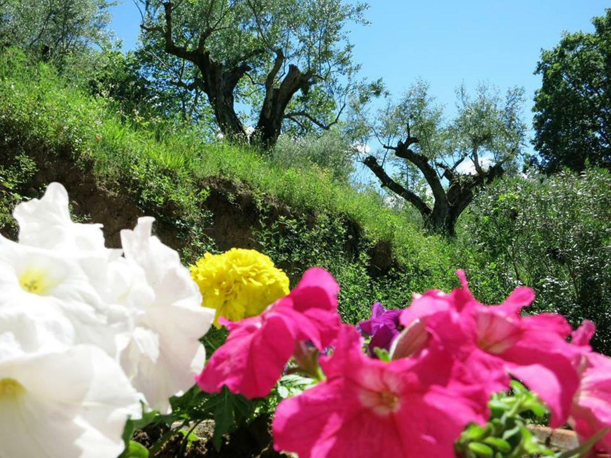 Argentella House Villa Palombara Sabina Eksteriør bilde